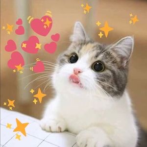 Meet your Posher, Jay